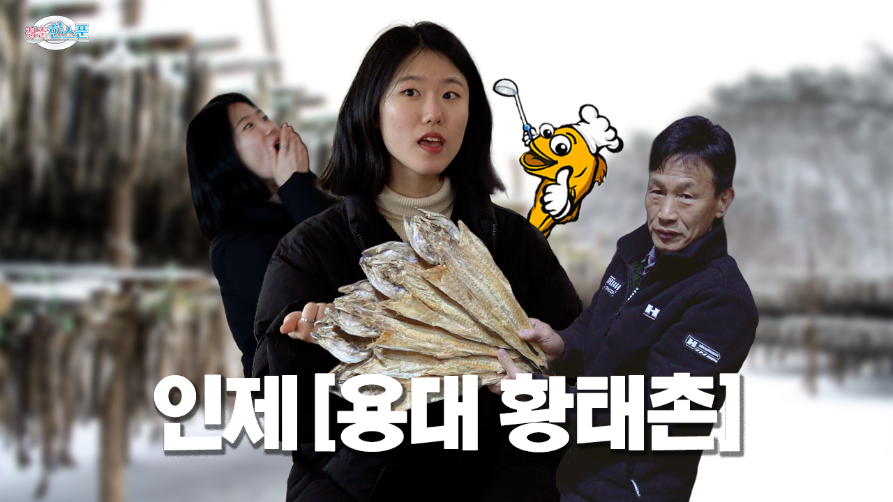 [G-Stay X 강원관광재단 X HLBS : 청춘한스푼] 바람과 시간이 빚은 맛! 인제의 황금빛 보물 | EP4. 인제 용대황태촌