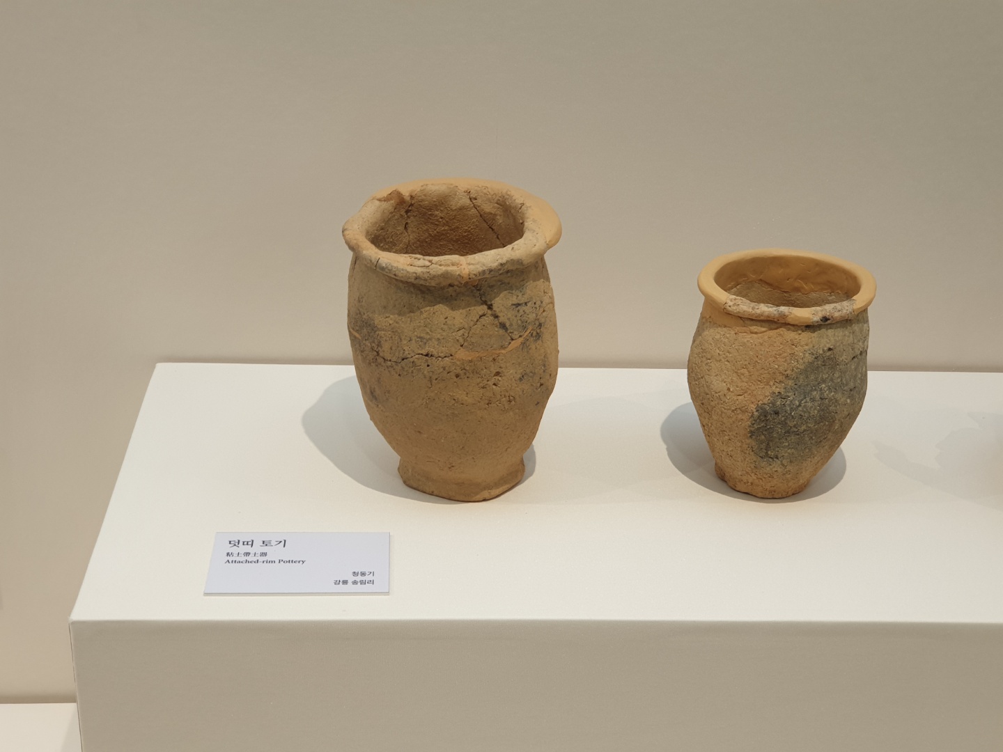 20210504_덧띠토기.jpg 이미지